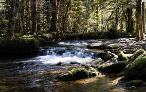 #Rando - La cascade du hérisson